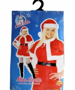 Fun Place Miss Santa Costume Costumes & Characters
