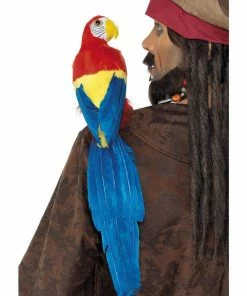 Fun Place Parrot Pirate Animals
