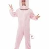 Fun Place Pig Costume