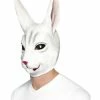 Fun Place Animals Rabbit Mask