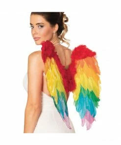 Fun Place Rainbow Foldable Angel Wings (50 X 50 Cm) Festivals