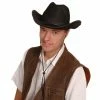 Fun Place Black Felt Cowboy Hat Wigs & Hats