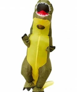 Fun Place Costumes & Characters Inflatable T-Rex Costume, Green