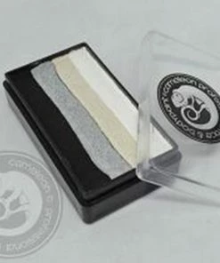 Fun Place Swan Colour Block One Stroke