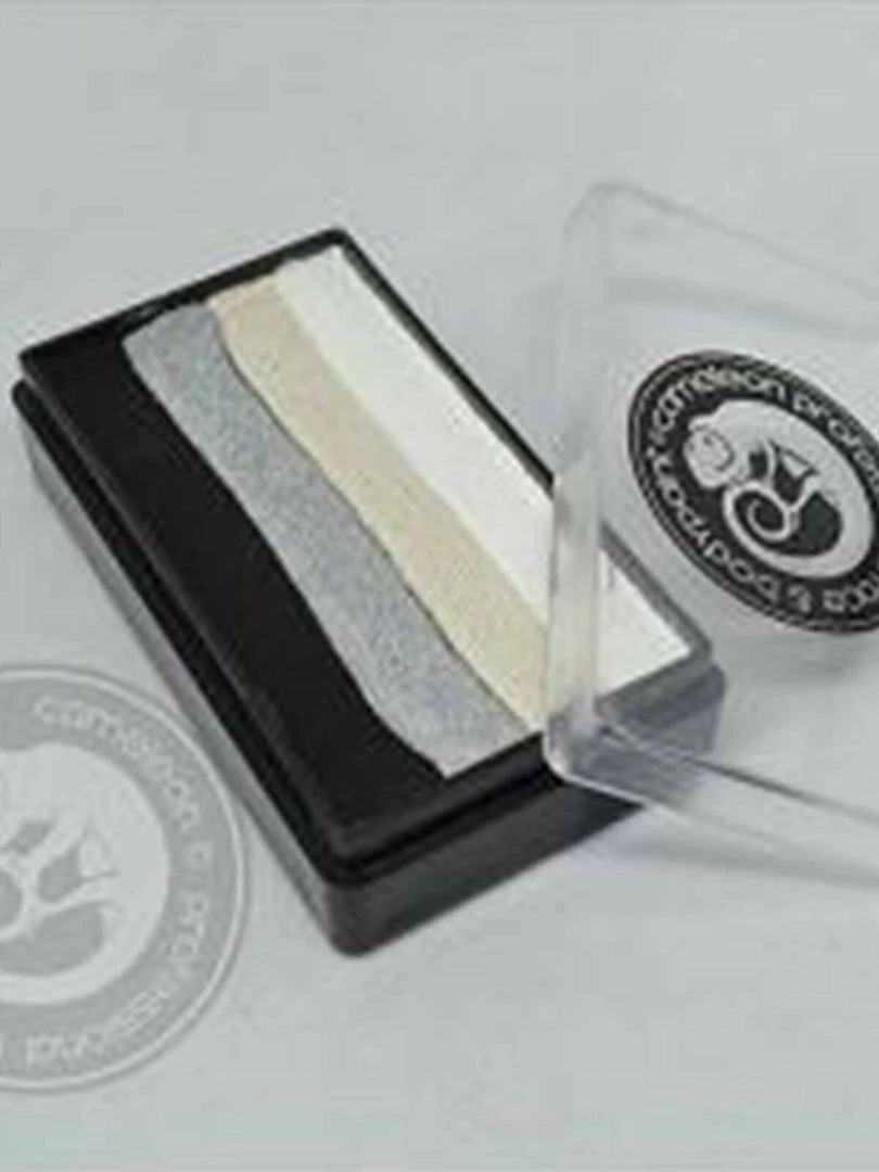 Fun Place Swan Colour Block One Stroke 3 Fun Place Swan Colour Block One Stroke