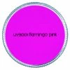Fun Place Pink Flamingo UV Face Paint 32g