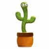 Fun Place Gifts, Jokes & Party Wear Dancing Cactus